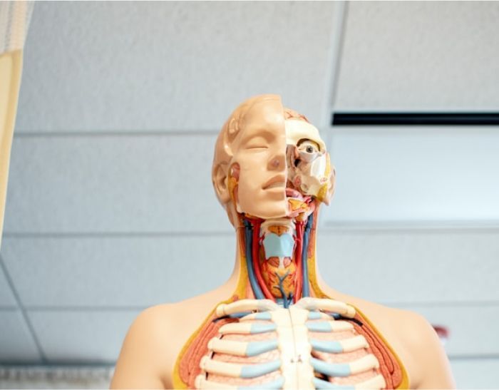 Медицинский колледж